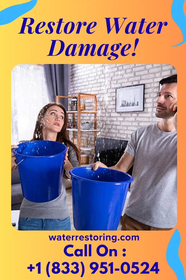 water restoration Shield Disaster Recovery Contractors Aspinwall
