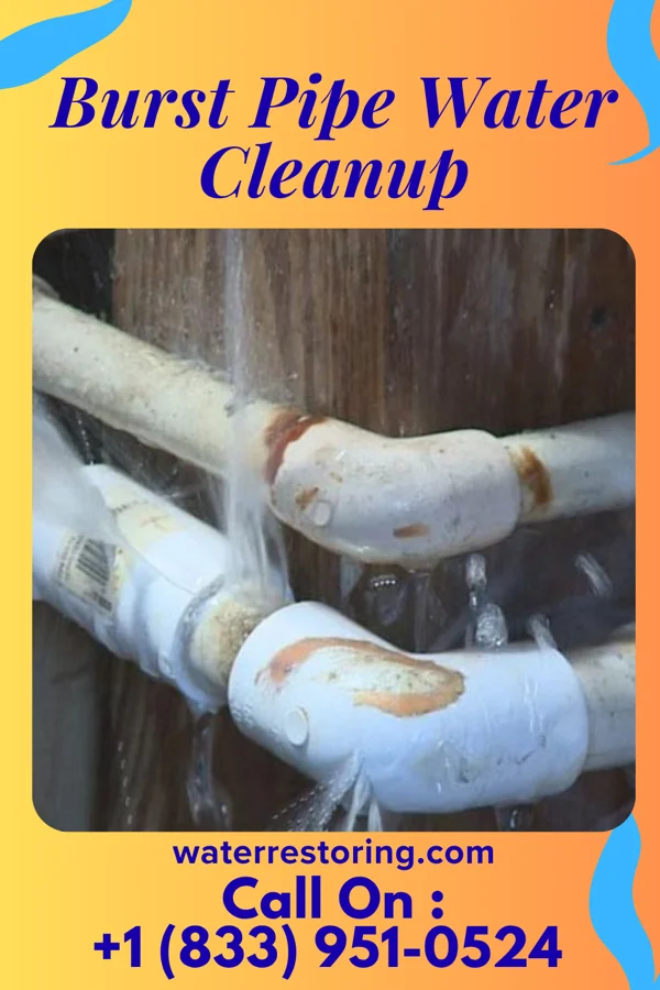 Burst Pipe Water Cleanup in Aspinwall, PA