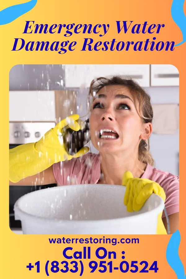 Emergency Water Damage Restoration in Aspinwall, PA