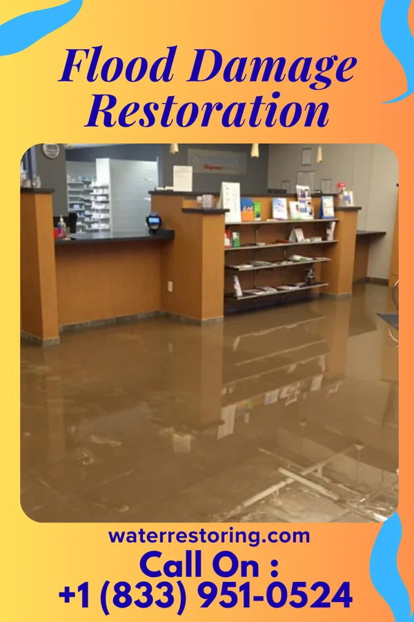 Flood Damage Restoration in Aspinwall, PA