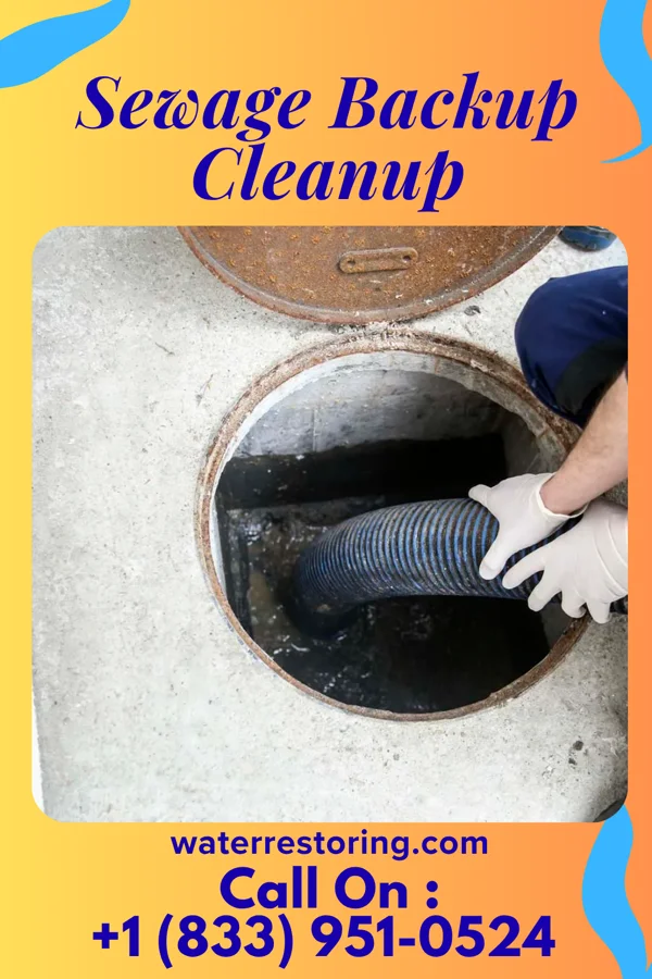 Sewage Backup Cleanup in Aspinwall, PA
