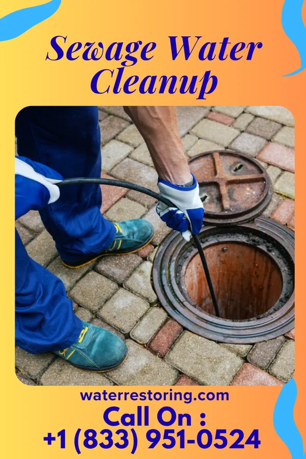 Sewage Water Cleanup in Aspinwall, PA