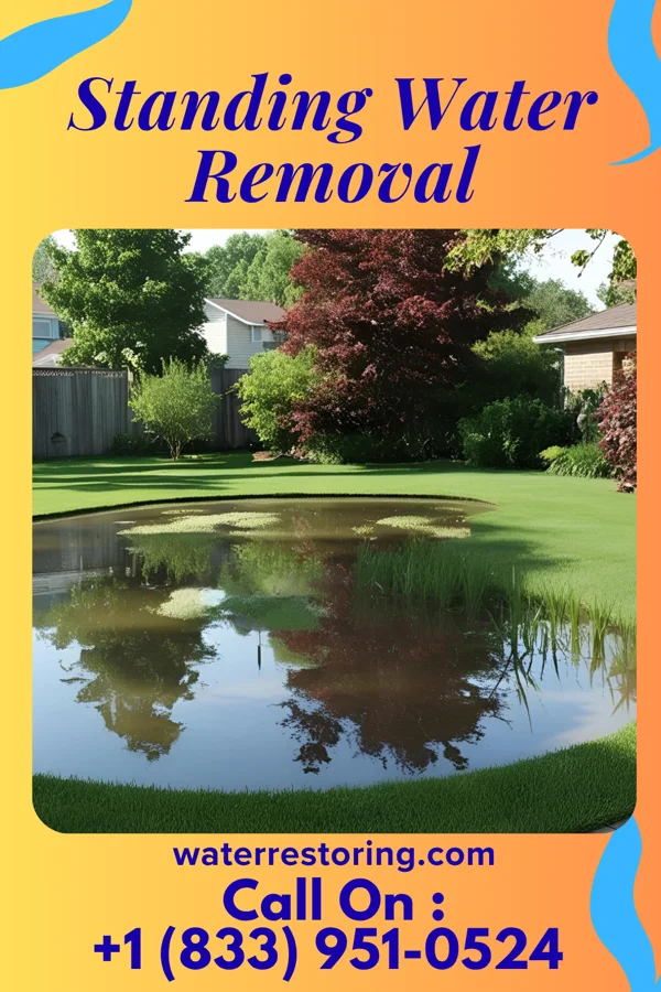 Standing Water Removal in Aspinwall, PA